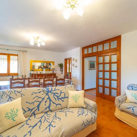 Brorent Amelia * Olbia